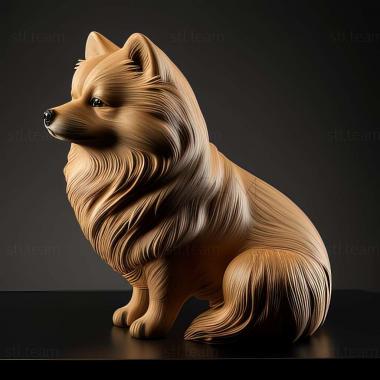 3D model Finnish Lapphund dog (STL)